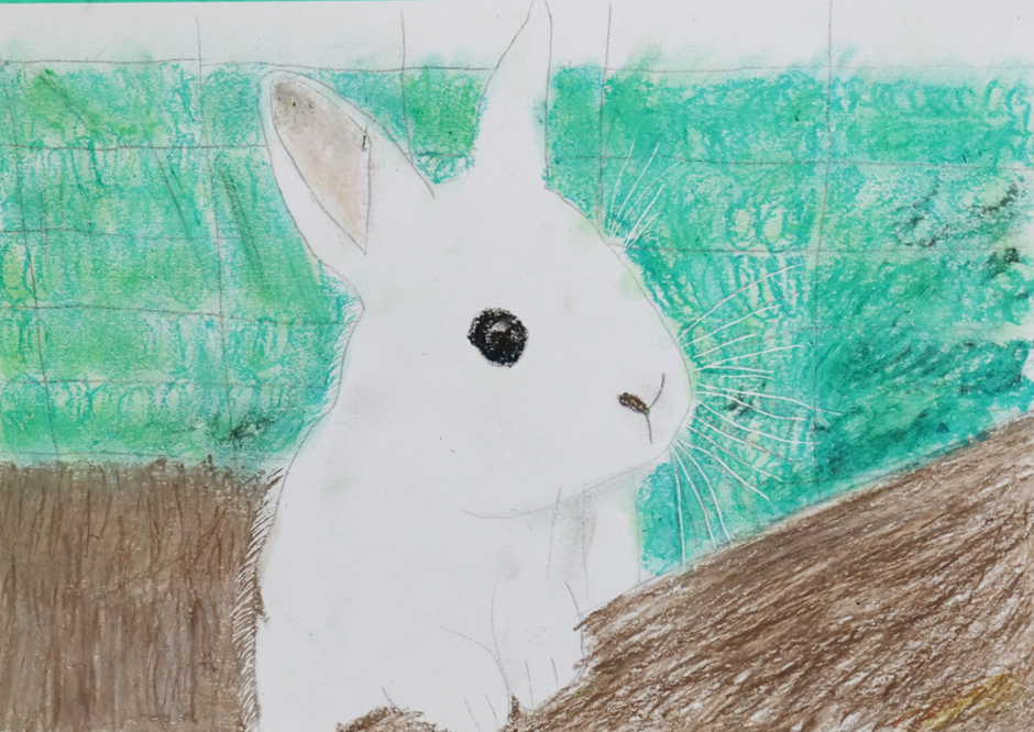 2025.09.13 「うさぎ」オイルパステル 受講生の作品画像
