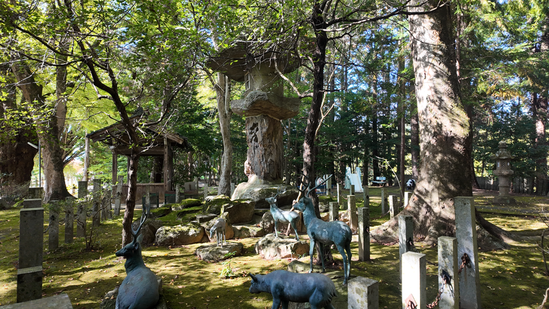 鹿と寄せ灯篭の写真