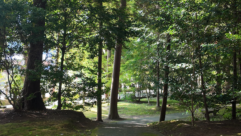 積田神社境内の写真