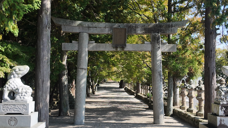積田神社の鳥居と参道の写真