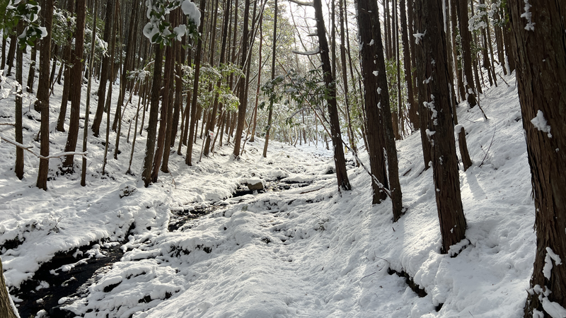 登山｜雪の残る登山道の画像｜絵画教室ロク