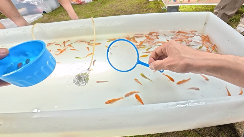 津市夜祭り|金魚すくいの画像|絵画教室ロク