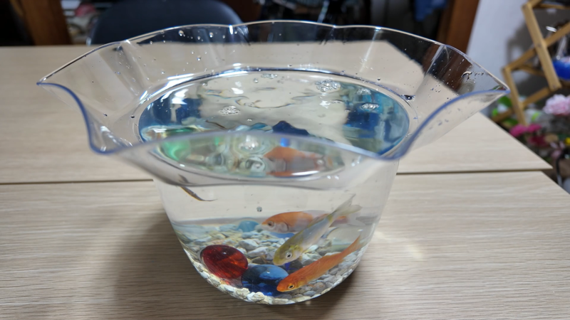 絵画教室ロク|金魚三匹の画像